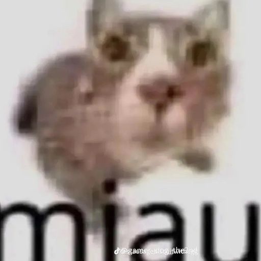 MIAU