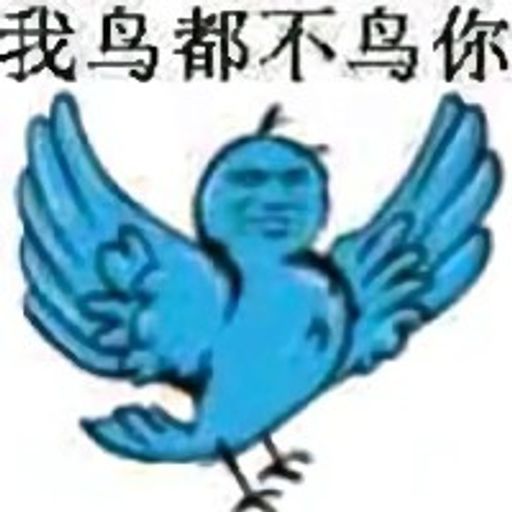 我鸟都不鸟你