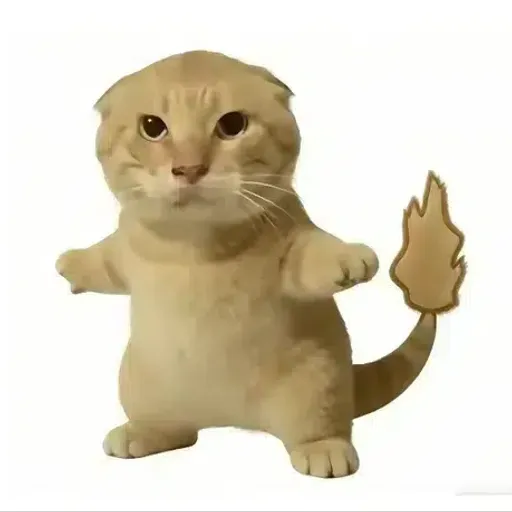 毛毛