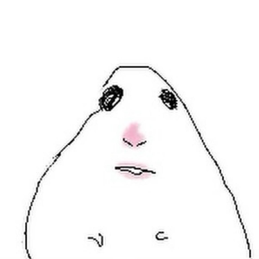 hamsters
