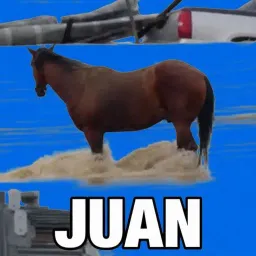 JUAN