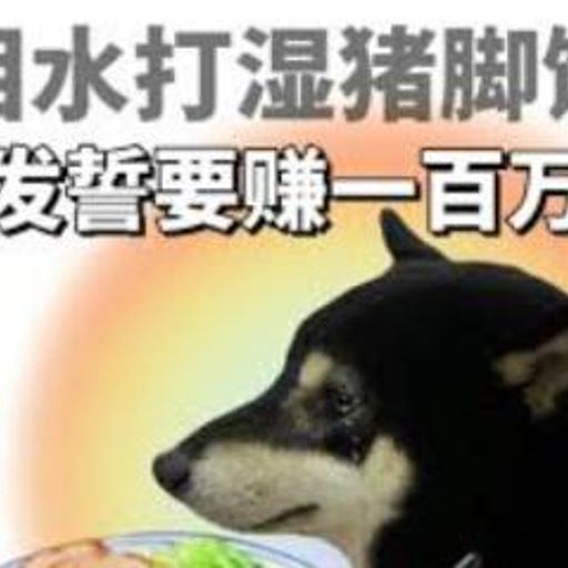 泪水打湿猪脚饭