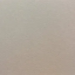 InvisibleDog