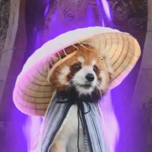气场