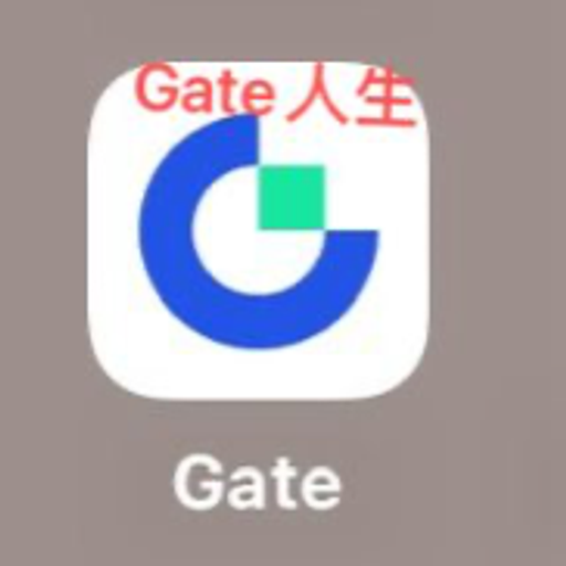 Gate人生