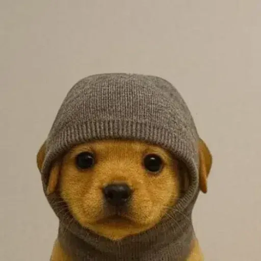 Sock