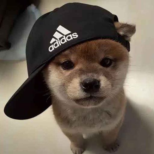 bil