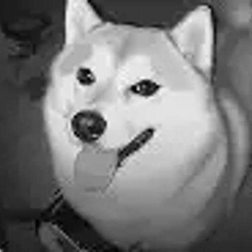 Banjo Dog