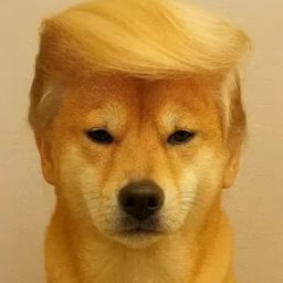 DOGNALD