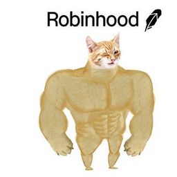WINKCAT