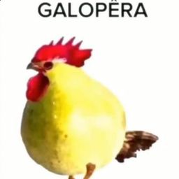 GALOPÊRA
