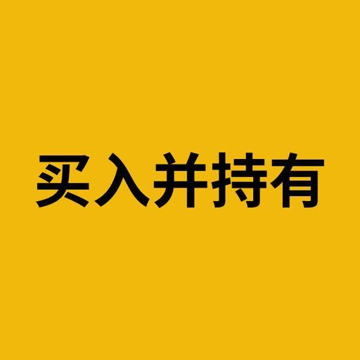 买入并持有