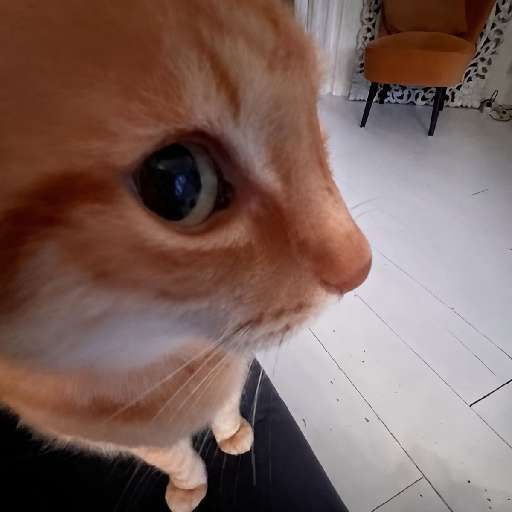 噗噗猫