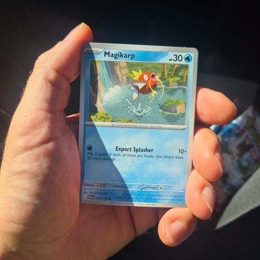 Magikarp