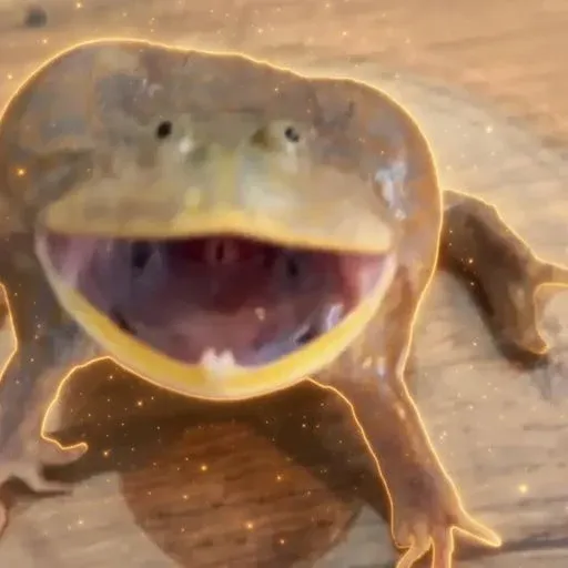 TEEF