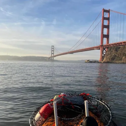 CRABBING