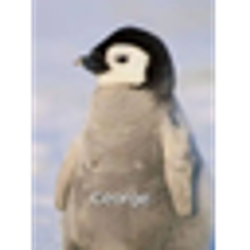 GEORGE