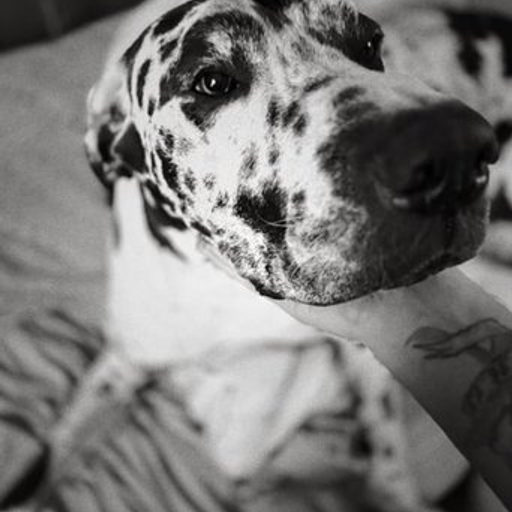 Franklin
