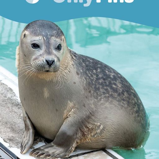 OnlyFins