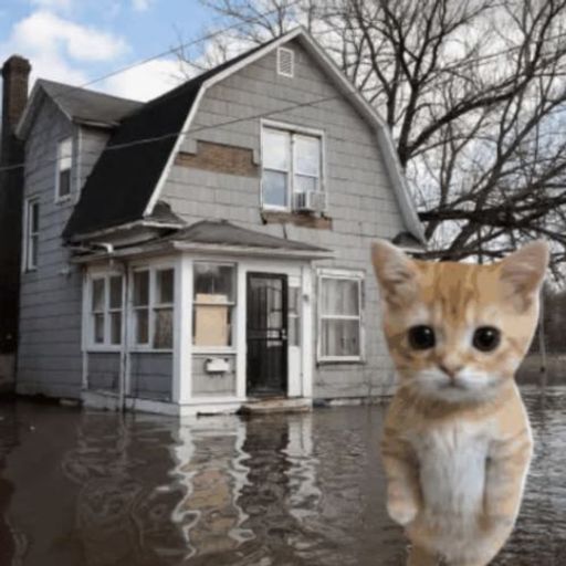 Catastrophe