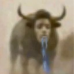 DROOLANSEM