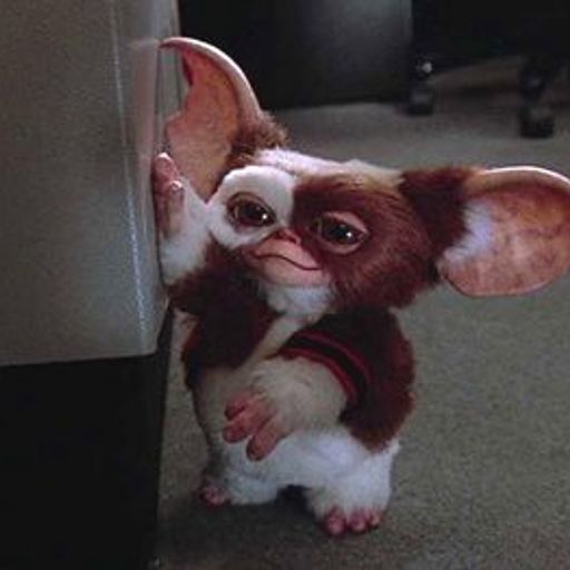 Gizmo