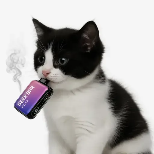 VapeCat