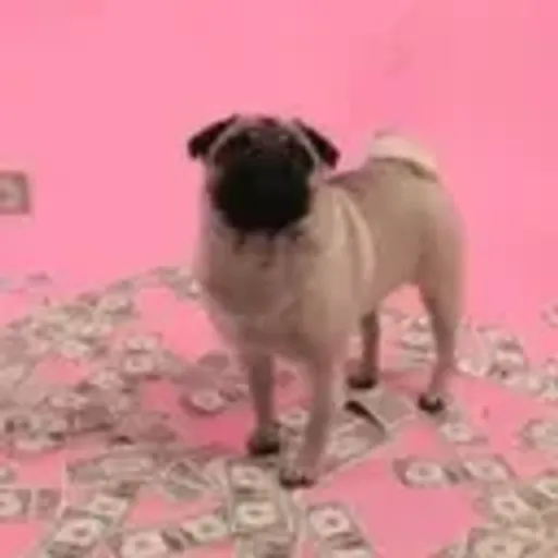 CASHPUG
