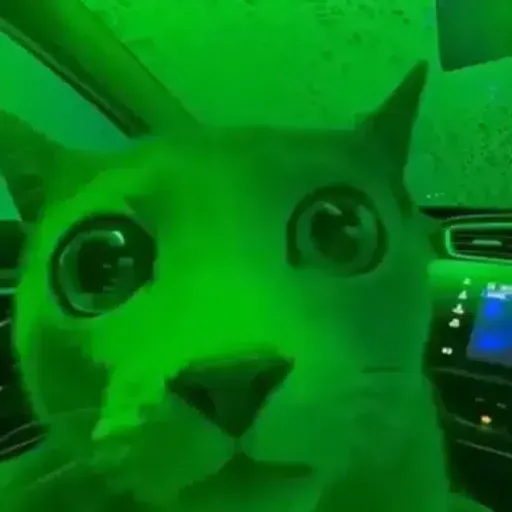 HOODCAT