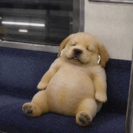 eeepydog