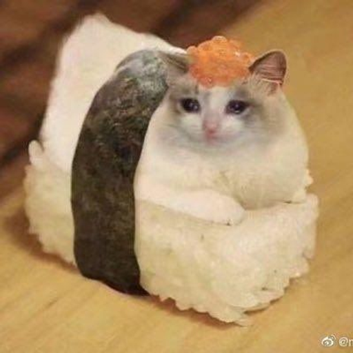 SUSHICAT