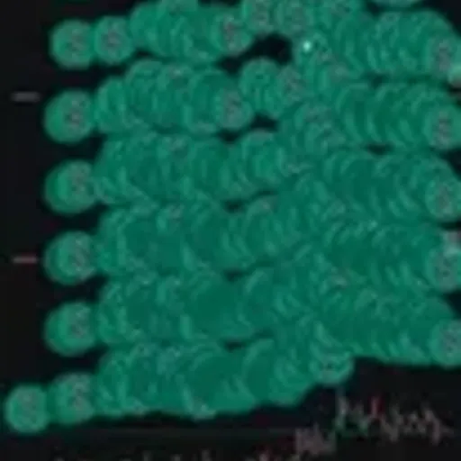 SPAM