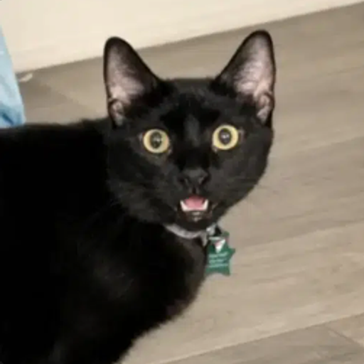 NOVA