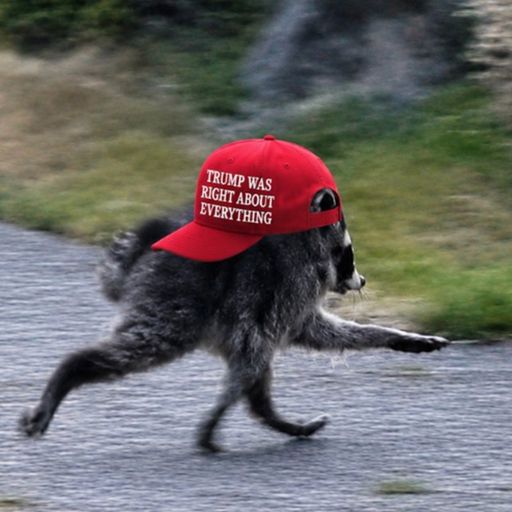 JIMOTHY