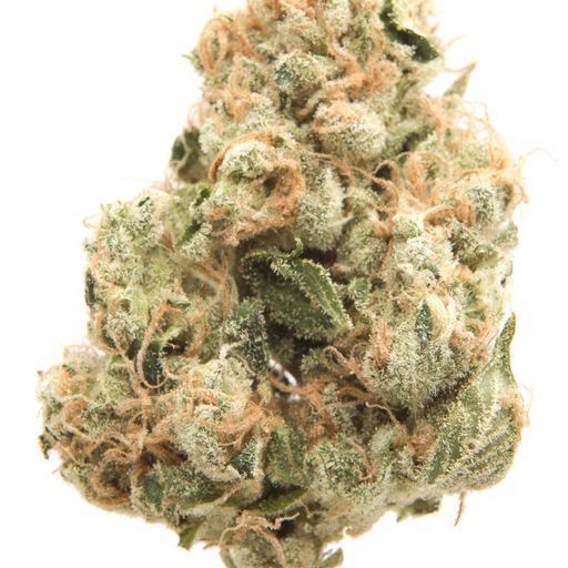GAS