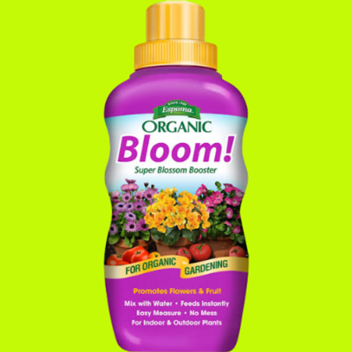 BLOOM
