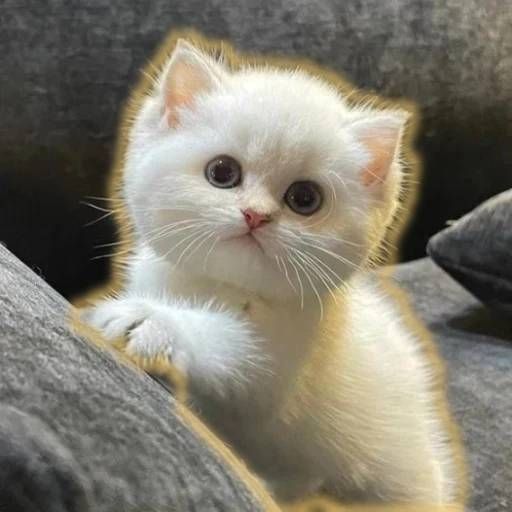 Milly