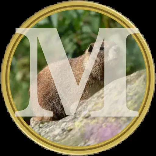 Marmot