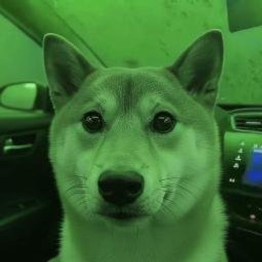 MarketDog
