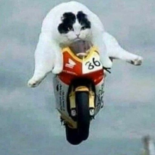 DUCATI