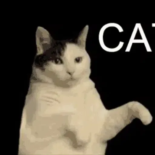 KITTYCAT