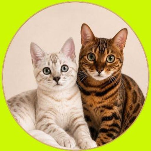 RWCAT
