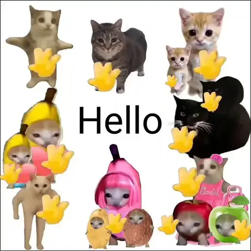 hellocats