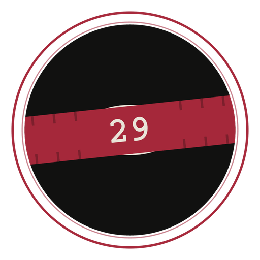 B29
