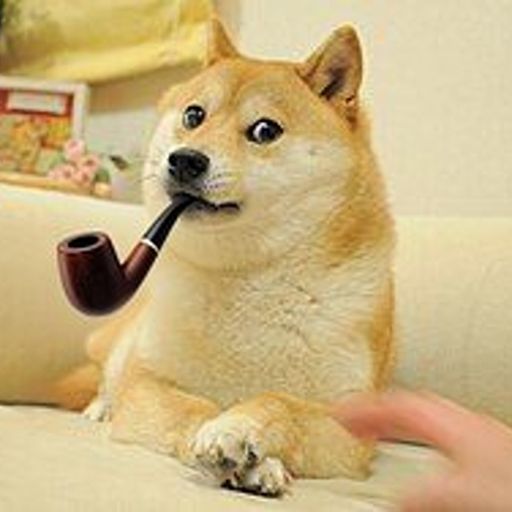 PIPEDOGE