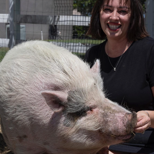 waddles