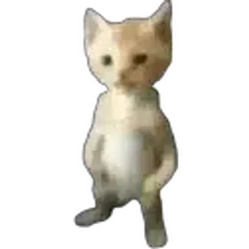MIGUEL