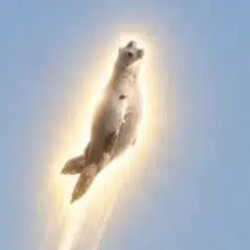 Ascend