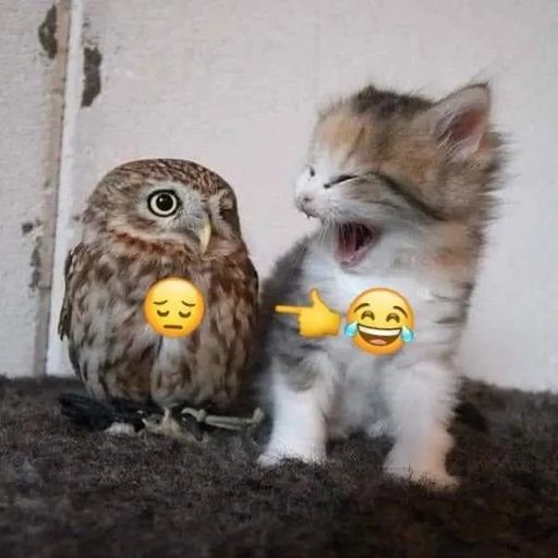 SIBLINGS
