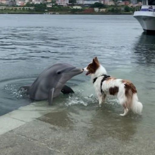 Friendship